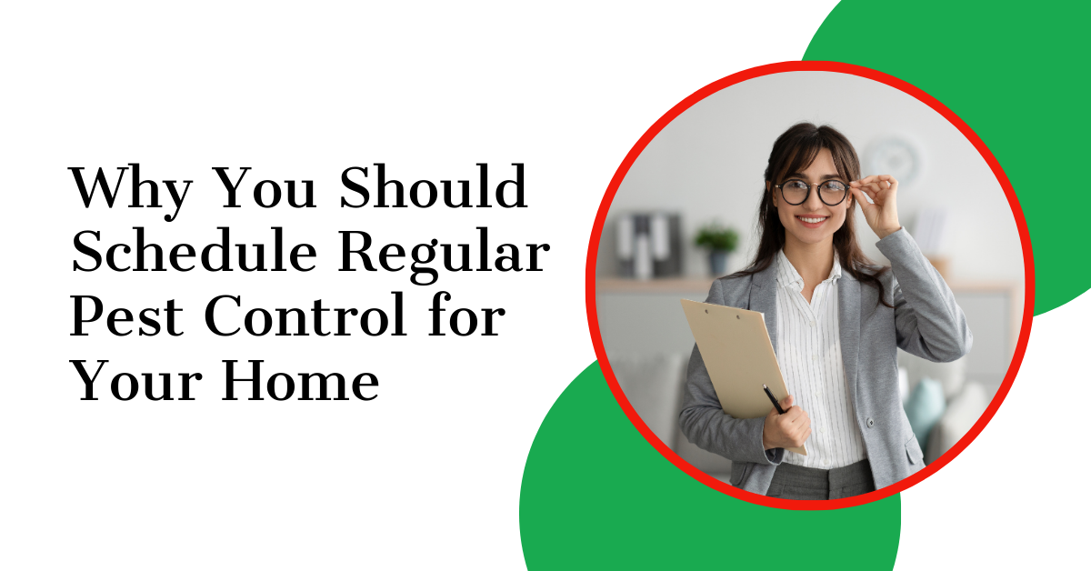 Why You Should Schedule Regular Pest Control for Your Home
