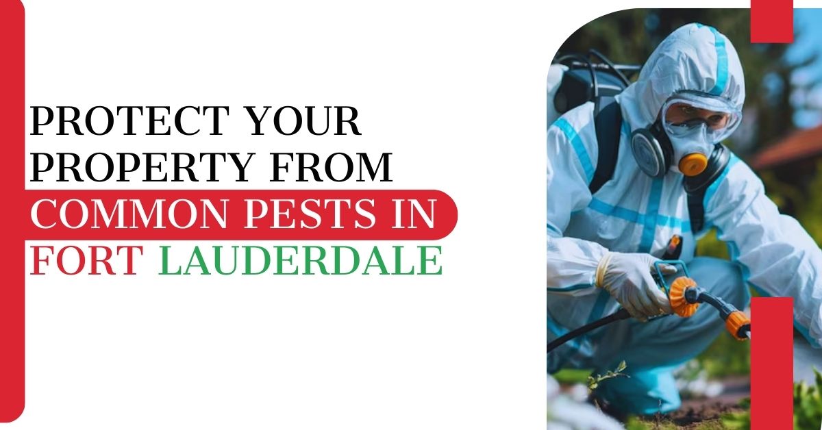 Protect Your Property from Common Pests in Fort Lauderdale